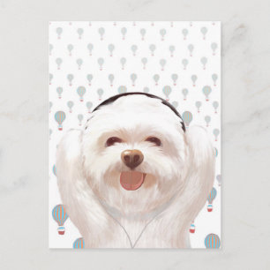 Postal De Anuncios Música