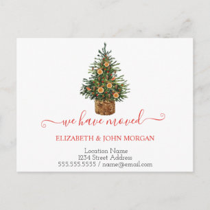 Postal De Anuncios Naranja De Árboles Pinos Que Hemos Movido