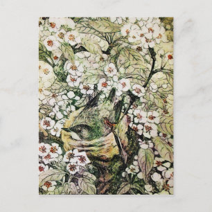 POSTAL DE ANUNCIOS NIDO DE PÁJARO, ÁRBOL CON FLORES PRIMAVERALES BROW