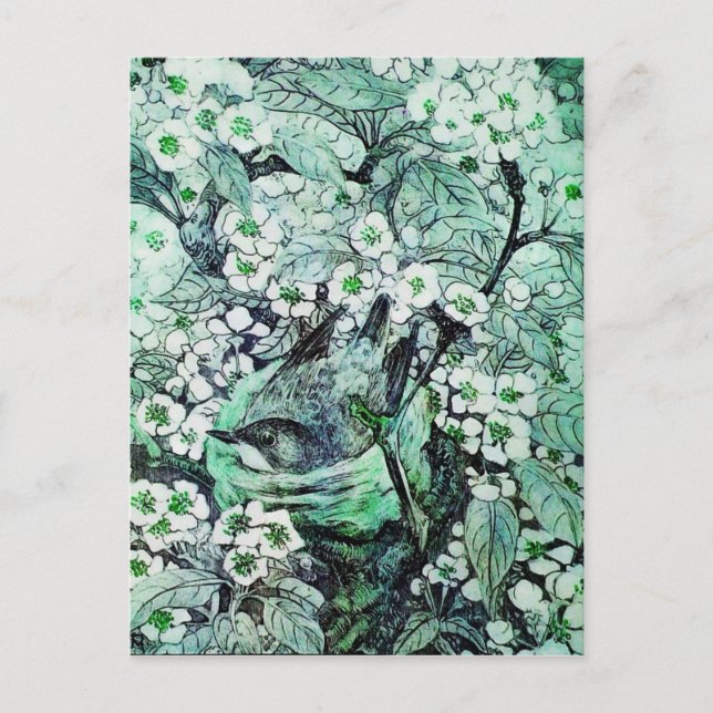 POSTAL DE ANUNCIOS NIDO DE PÁJARO, ÁRBOL CON FLORES VERDES Y BLANCAS  (Anverso)