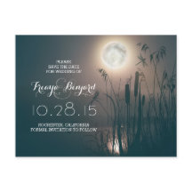 noche de la luna llena de la libélula y los cattai