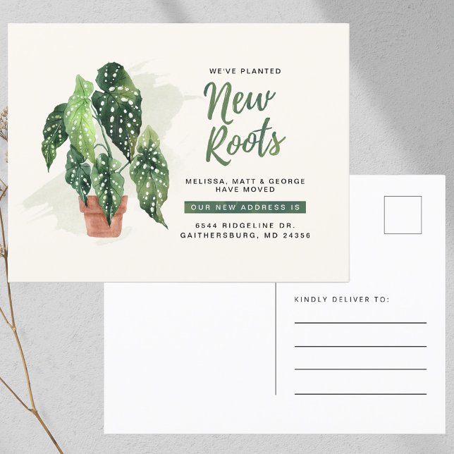 Postal De Anuncios Nos hemos mudado de nuevas raíces plantadas (We’ve Moved Planted New Roots Moving Announcement Postcard)
