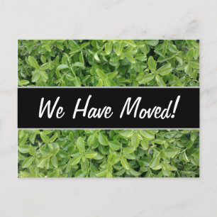 Postal De Anuncios Nueva Casa; Green Hedge Shrub Type Planta Fotograf