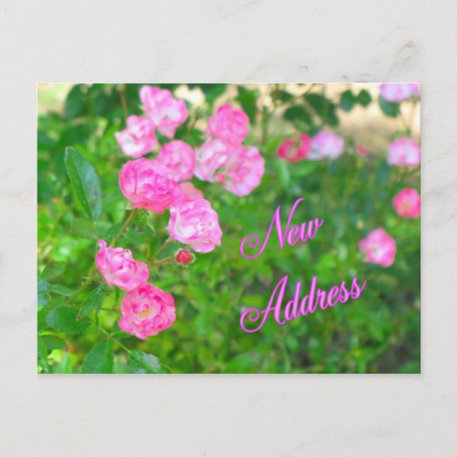 Postal De Anuncios Nueva dirección (Anverso)