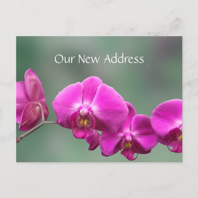 Postal De Anuncios Nueva dirección de orquídeas rosadas (Anverso)