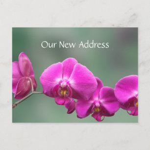 Postal De Anuncios Nueva dirección de orquídeas rosadas