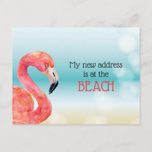 Postal De Anuncios Nueva dirección Flamingo rosa en Bokeh Beach Movin