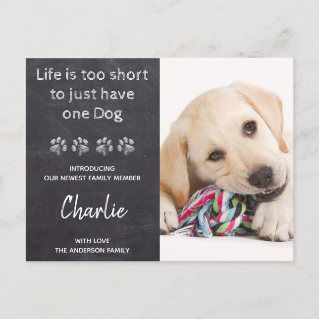 Postal De Anuncios Nueva Mascota Nuevo Cachorro Foto Personalizada Pe (Anverso)