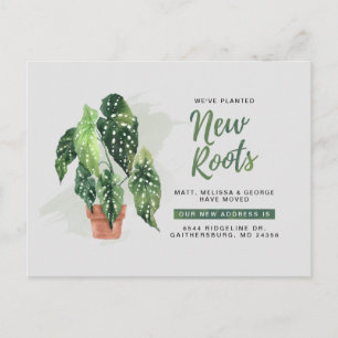 Postal De Anuncios Nuevas Raíces Plantadas Modernas Moviendo Nueva Di
