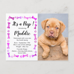 Postal De Anuncios Nuevo cachorro - Chica Rosa Nuevo Mascota - Cachor
