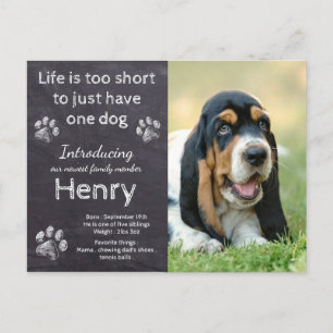 Postal De Anuncios Nuevo cachorro - Rústico Mascota foto de perro