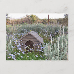 Postal De Anuncios Nuevo hogar