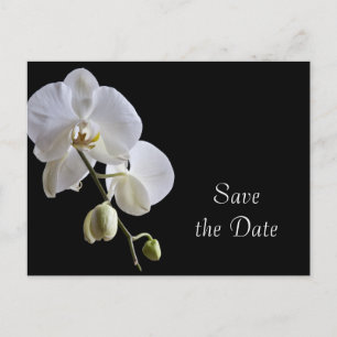 Postal De Anuncios Orquídea Blanca en Negro - Salva la Fecha de la Bo
