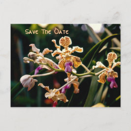 Postal De Anuncios Orquídea Salvaje Guardar La Postcarta De Fecha