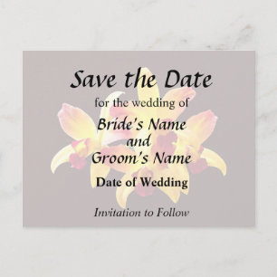 Postal De Anuncios Orquídeas Amarillas y Marrones Brassolaeliocattley