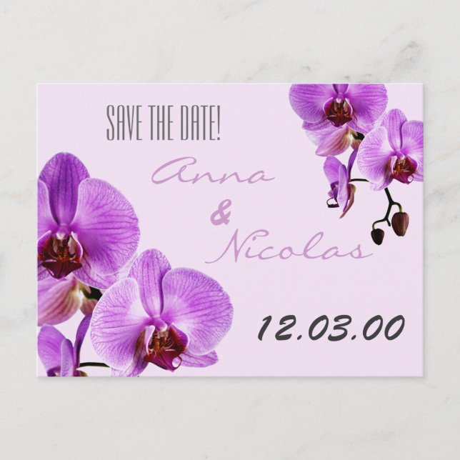 Postal De Anuncios Orquídeas de corte violetas (Anverso)