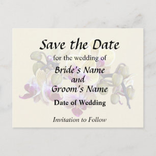 Postal De Anuncios Orquídeas de halaenopsis de color amarillo pálido 