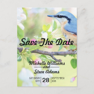 Postal De Anuncios Pájaro Azul Save the Date