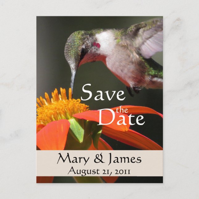 Postal De Anuncios Pájaro Colibrí Girasol Floral Guardar la Fecha (Anverso)