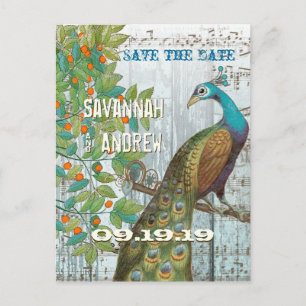Postal De Anuncios Pájaro de amor de pavo real sentado en un árbol, g
