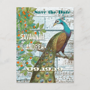 Postal De Anuncios Pájaro de amor pavo real sentado en un árbol guard