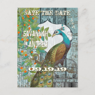 Postal De Anuncios Pájaro de amor pavo real sentado en un árbol Guard