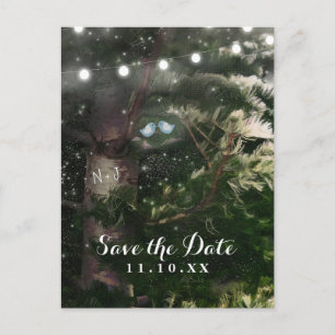 Postal De Anuncios Pájaros del Amor + Pino Noche Salvar Fecha