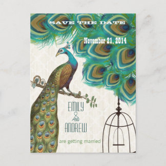 Postal De Anuncios Pavo Real Floral Afligido Jaula de Pájaro Save the