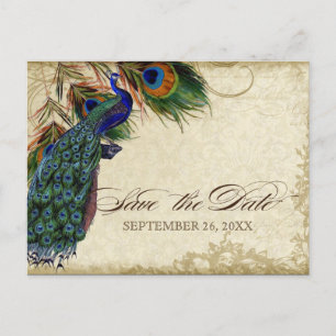 Postal De Anuncios Pavo Real y Plumas Formal Salva la Fecha Negro Mar