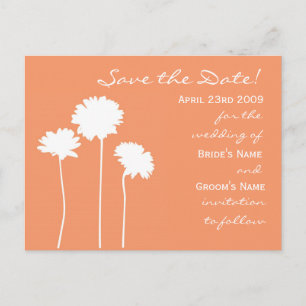 Postal De Anuncios Peach Daisy Save the Date