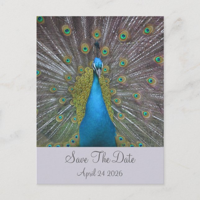 Postal De Anuncios Peacock Save The Date (Anverso)