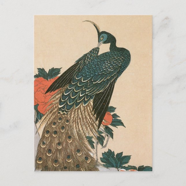 Postal De Anuncios Peacock y Peonies por Hiroshige Boda (Anverso)
