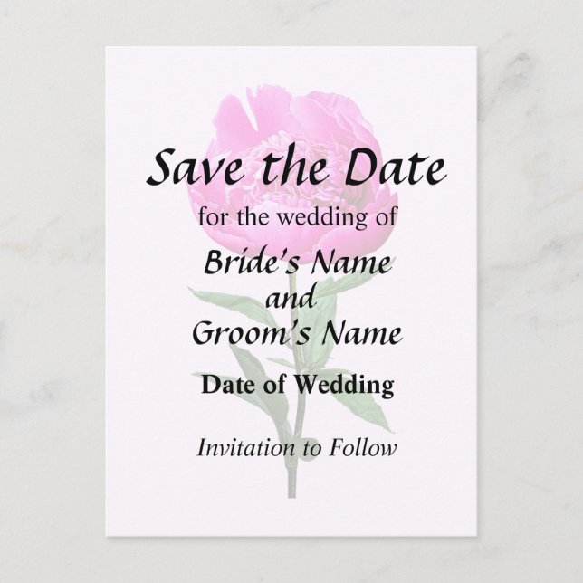 Postal De Anuncios Peonía rosa oscuro (Anverso)