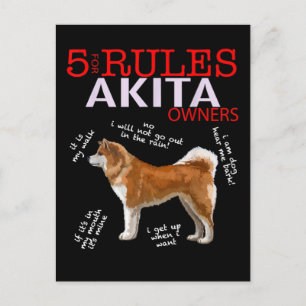 Postal De Anuncios Perro Akita 5 Reglas Dueño de Perro Akita