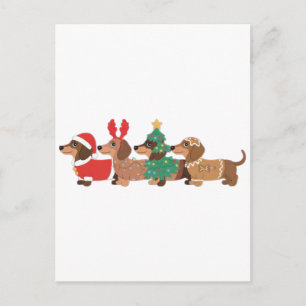 Postal De Anuncios Perro Dachshund con ropa de Navidad para amantes d