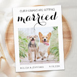 Postal De Anuncios Perro De Compromiso De Fotografías Mascotas Modern<br><div class="desc">Deja que tu Mejor Perro anuncie a tu boda con este super lindo perro mascota de 'Mis Humanos se están casando' que salva las tarjetas de cita. Personalizar con tu foto favorita, y personaliza con nombres, fecha y ubicación de boda. Esta boda de perros, salvo la invitación de la fecha,...</div>