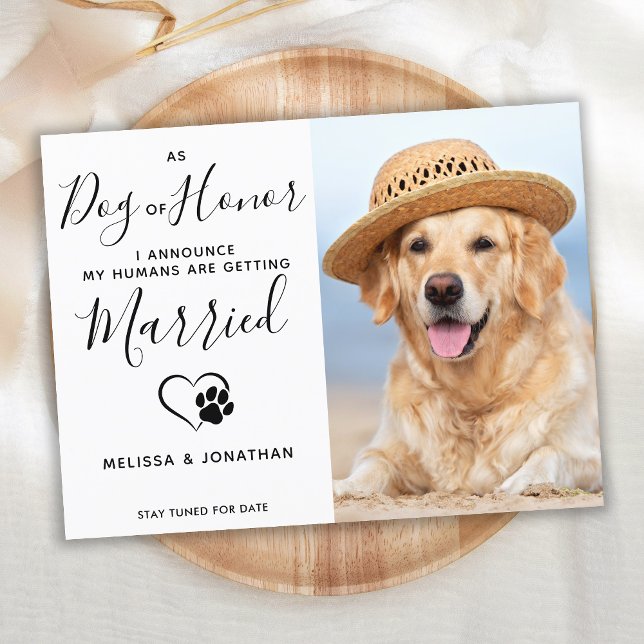 Postal De Anuncios Perro de Honor de Mascota de Boda Compromiso Foto  (Subido por el creador)