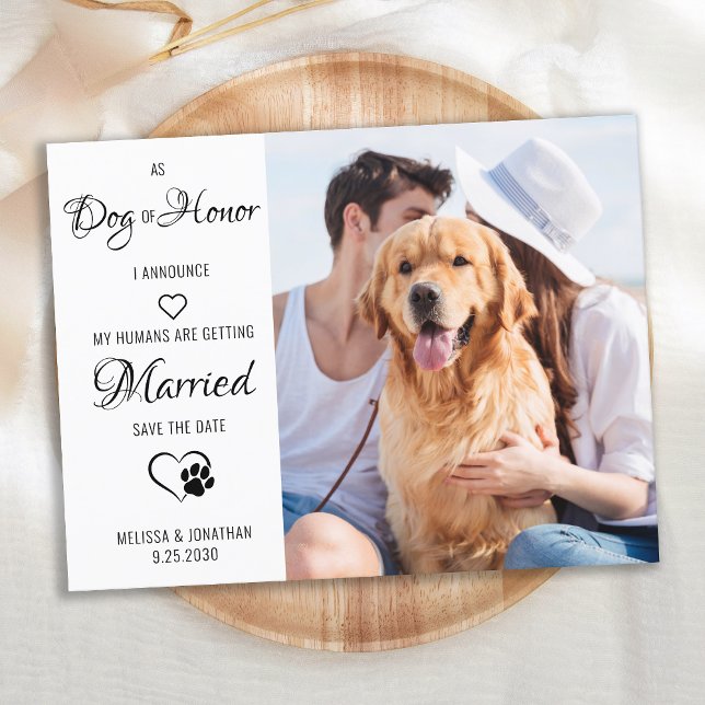Postal De Anuncios Perro De Honor Mascota Boda Foto Guardar La Fecha (Subido por el creador)