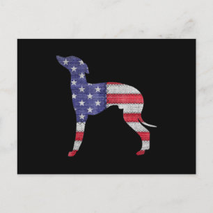 Postal De Anuncios perro galgo italiano patriótico bandera americana 