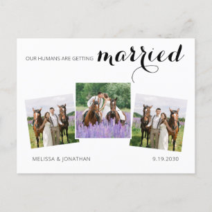 Postal De Anuncios Personalizado 3 Foto Boda Mascota de caballo Guard