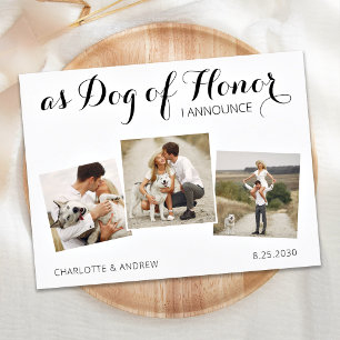 Postal De Anuncios Personalizado Collage de fotos Perro De Honor Elop