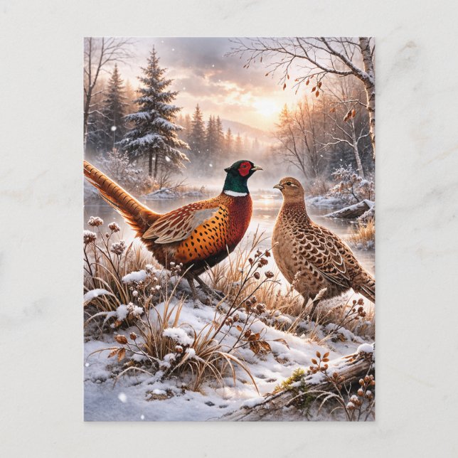 Postal De Anuncios Pheasant  (Anverso)