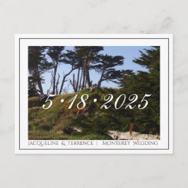 Postal De Anuncios Pinos de Monterey California Guardar la fecha