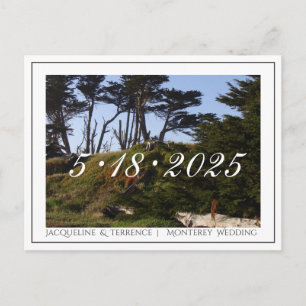 Postal De Anuncios Pinos de Monterey California Guardar la fecha