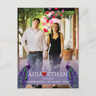 Postal De Anuncios PixDezines foto+pavo real/fecha de salvación