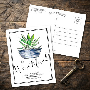 Postal De Anuncios Planta de Aloe Vera en Maceta Mudanza de Casa Nuev