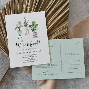 Postal De Anuncios Plantas de Interior en Macetas que Nos Mudamos
