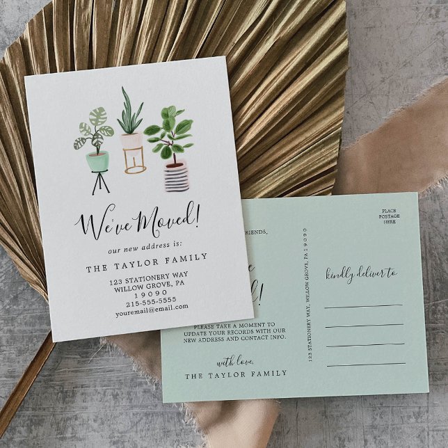 Postal De Anuncios Plantas de Interior en Macetas que Nos Mudamos (Subido por el creador)