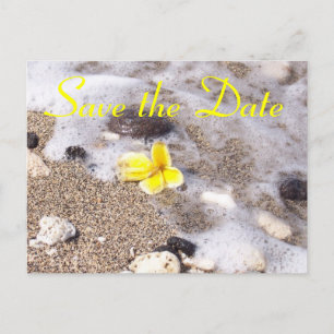 Postal De Anuncios Playa tropical salva la Plumeria de la fecha