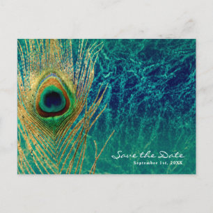 Postal De Anuncios Pluma de Pavo Real Azul Turquesa Dorado Glam Ahorr